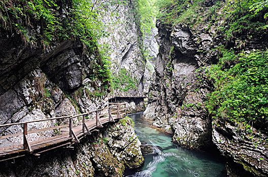 sỗ mien bac