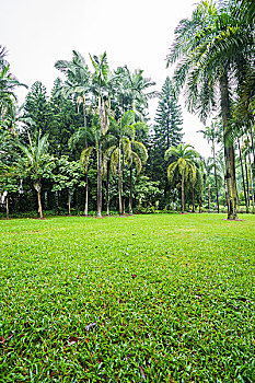 chốt lô tô